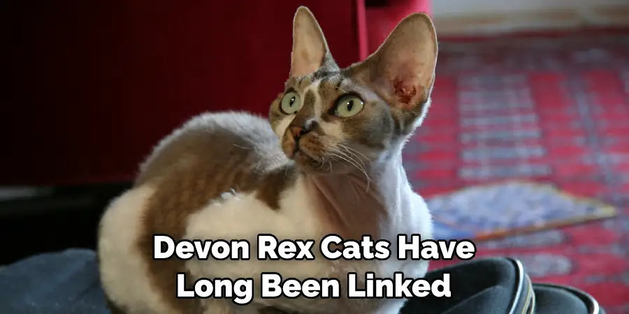 Devon Rex Cats Have Long Been Linked