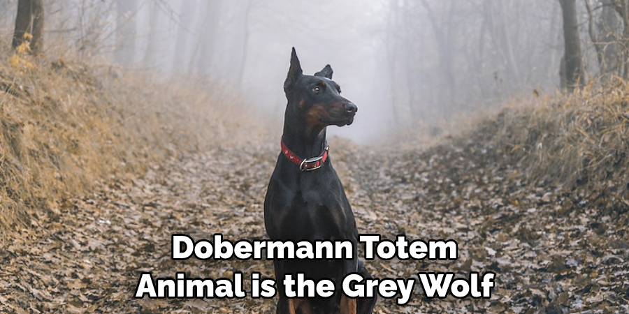 Dobermann Totem Animal is the Grey Wolf