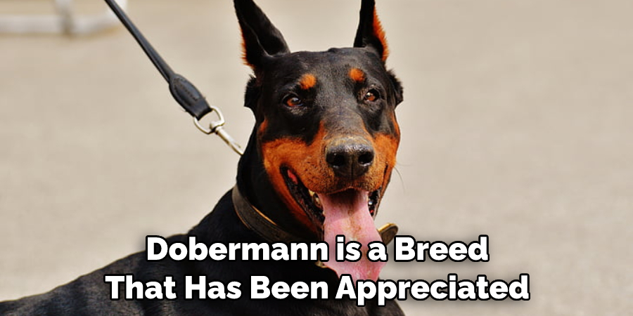 Dobermann is a Breed That Has Been Appreciated