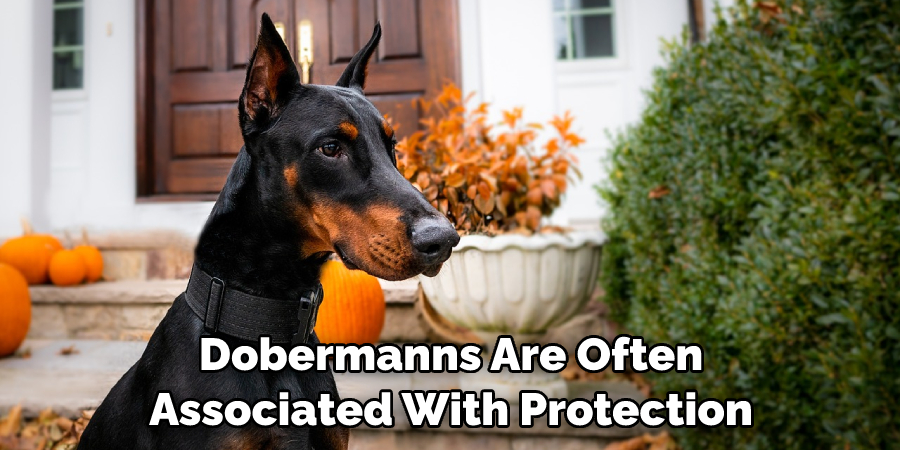Dobermanns Are Often Associated With Protection