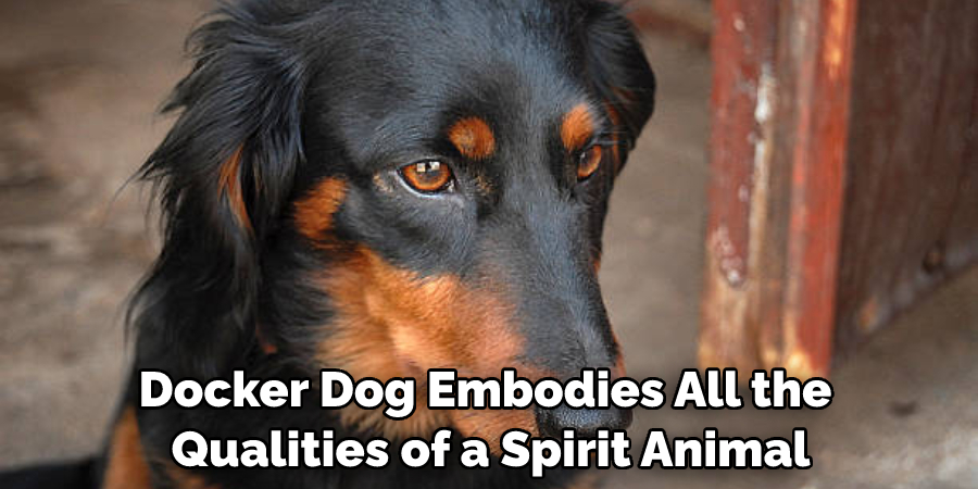 Docker Dog Embodies All the Qualities of a Spirit Animal