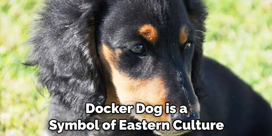  Docker Dog is a Symbol of Eastern Culture