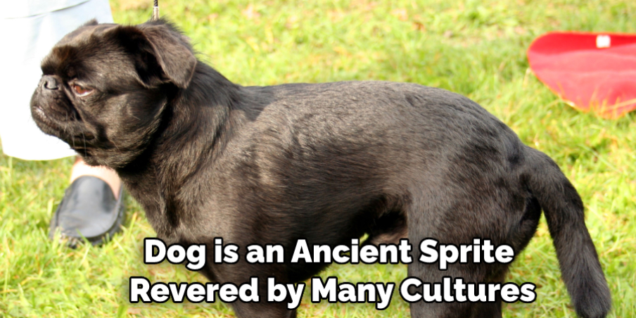 Dog is an Ancient Sprite Revered by Many Cultures