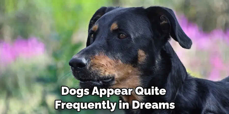 Dogs Appear Quite Frequently in Dreams