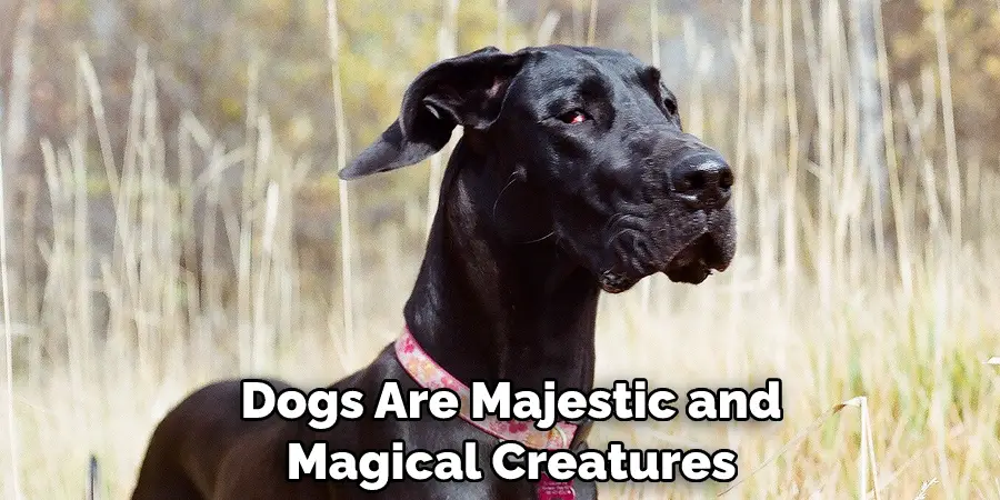  Dogs Are Majestic and Magical Creatures