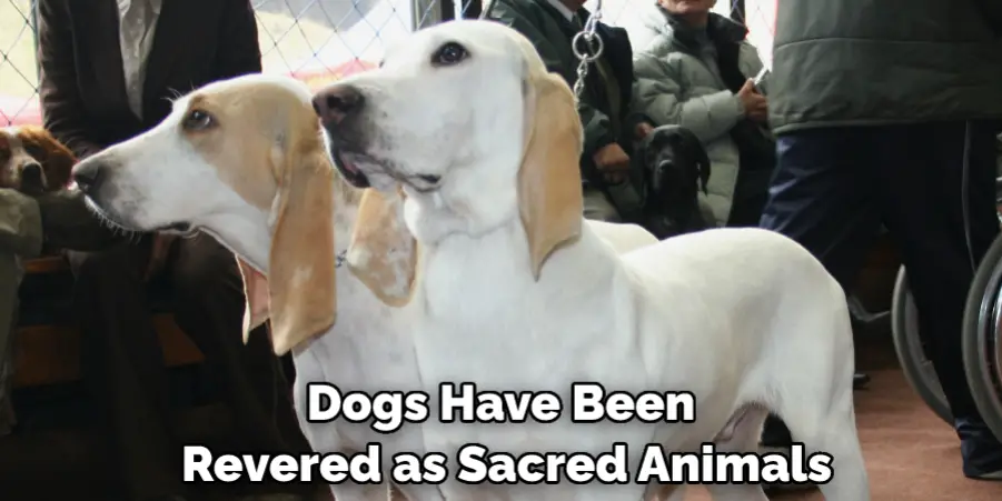Dogs Have Been Revered as Sacred Animals