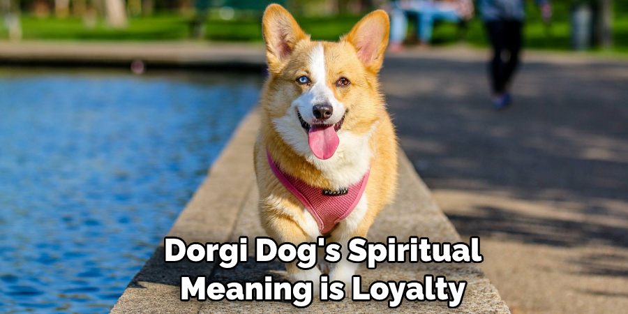  Dorgi Dog's Spiritual Meaning is Loyalty