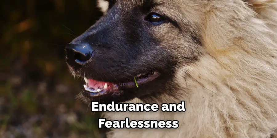 Endurance and Fearlessness