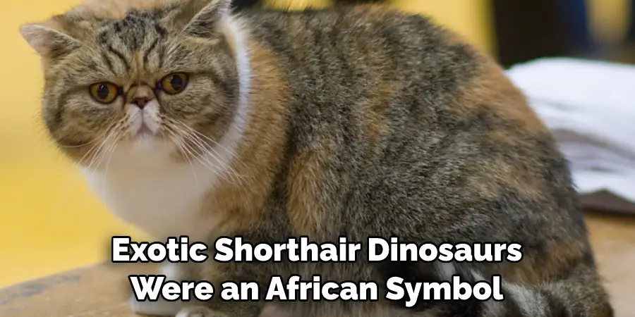 Exotic Shorthair Dinosaurs Were an African Symbol