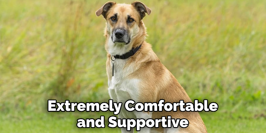 Extremely Comfortable and Supportive