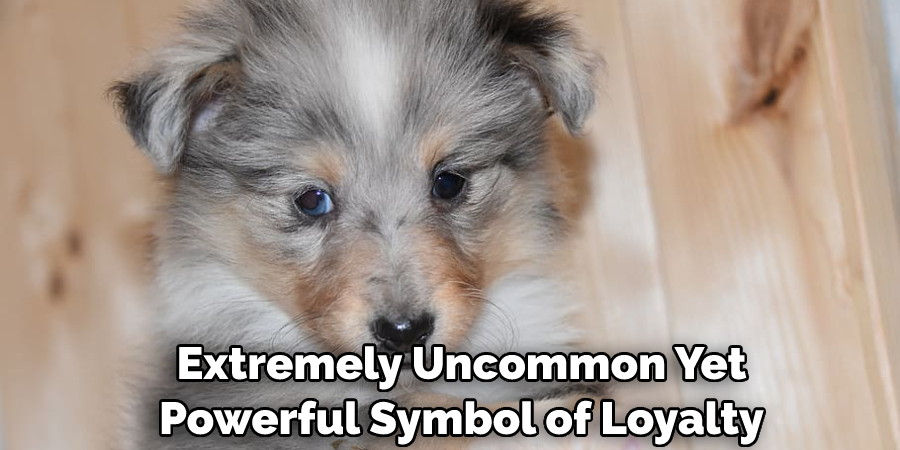  Extremely Uncommon Yet Powerful Symbol of Loyalty