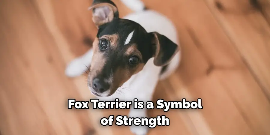 Fox Terrier is a Symbol of Strength