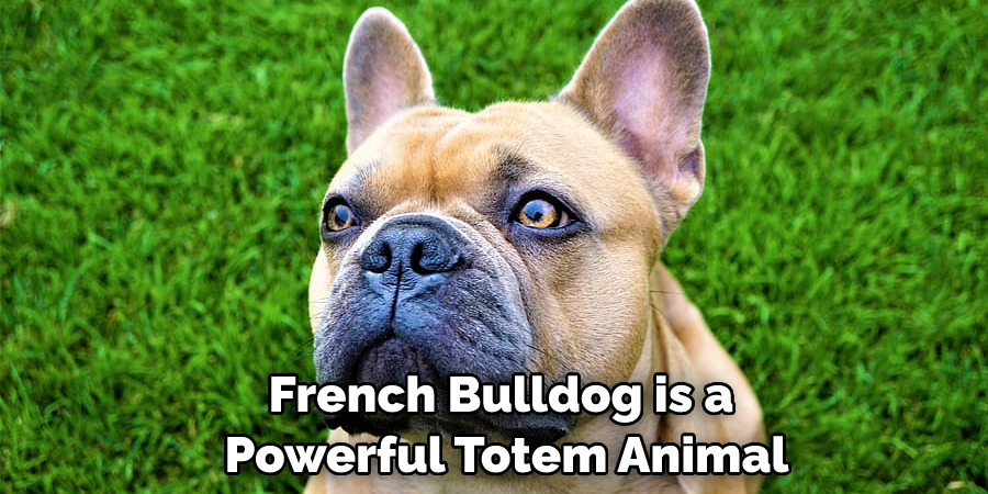 French Bulldog is a Powerful Totem Animal