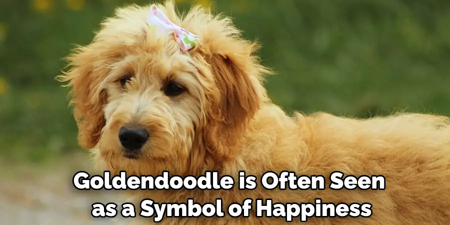 Goldendoodle is Often Seen as a Symbol of Happiness