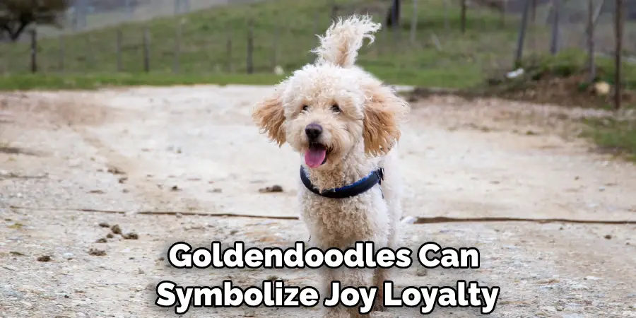 Goldendoodles Can Symbolize Joy Loyalty