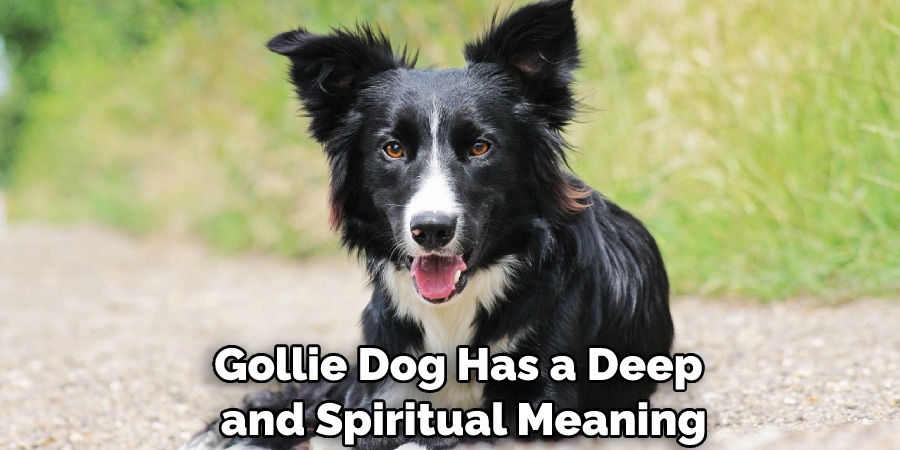 Gollie Dog Has a Deep and Spiritual Meaning