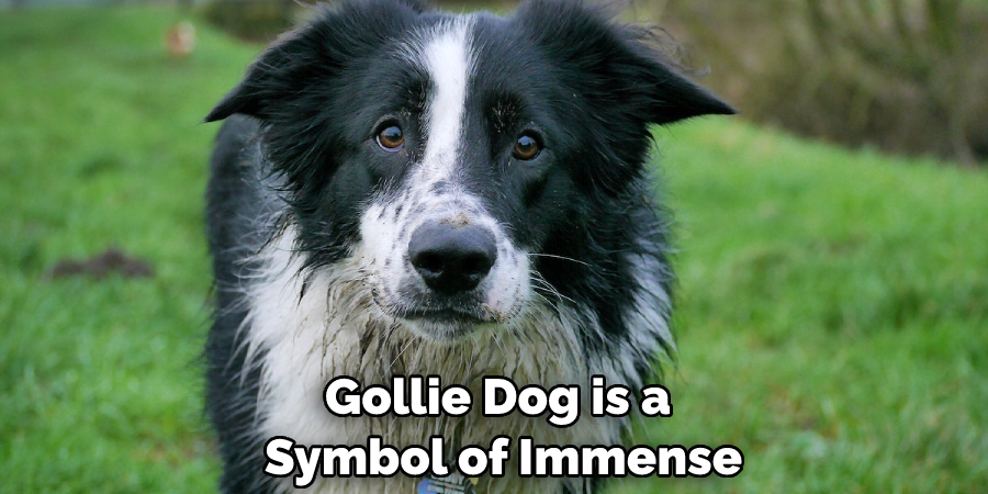 Gollie Dog is a Symbol of Immense