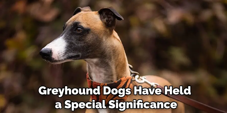 Greyhound Dogs Have Held a Special Significance