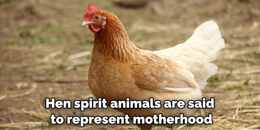 Hen spirit animals are said to represent motherhood