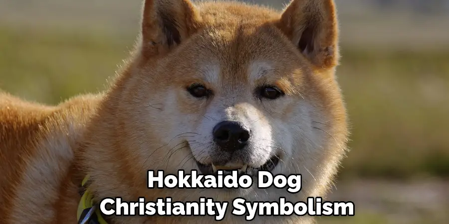 Hokkaido Dog Christianity Symbolism