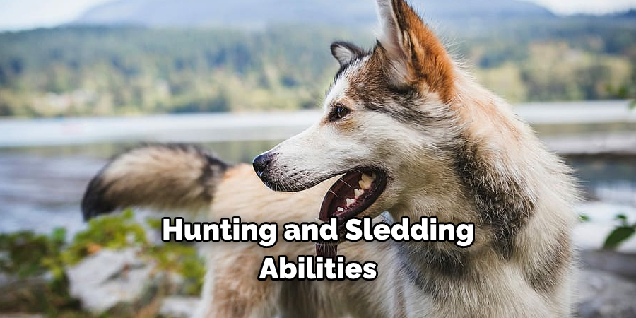 Hunting and Sledding Abilities