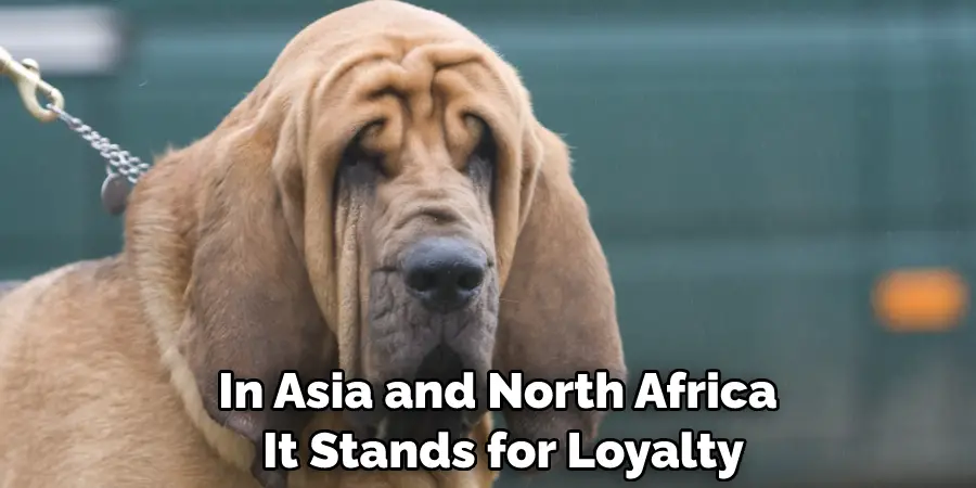 In Asia and North Africa, It Stands for Loyalty