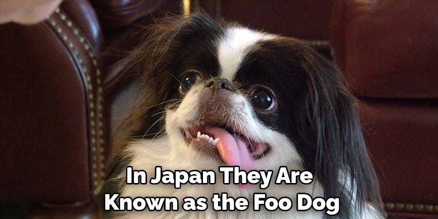 In Japan They Are Known as the Foo Dog