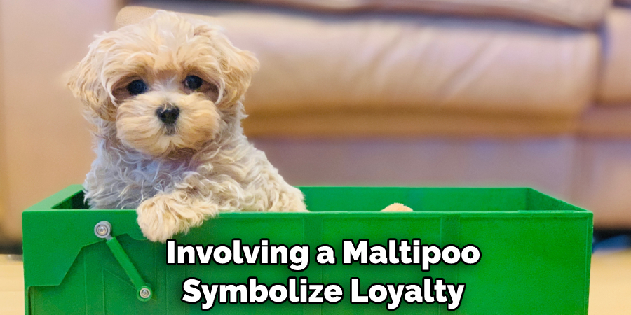  Involving a Maltipoo Symbolize Loyalty