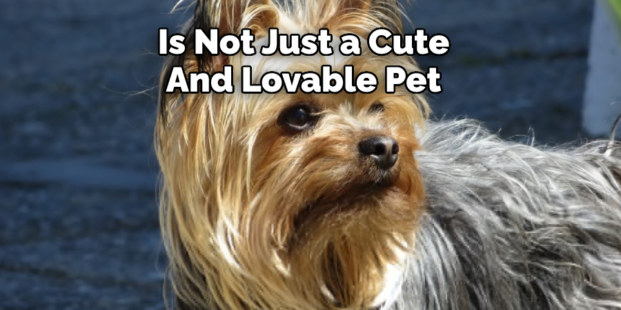 Is Not Just a Cute 
And Lovable Pet