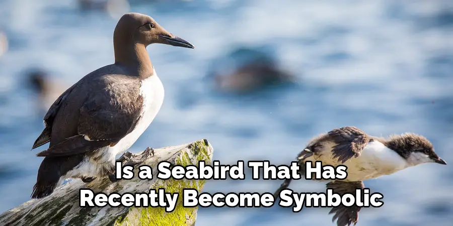  Is a Seabird That Has Recently Become Symbolic