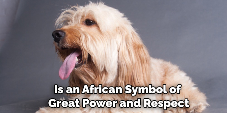 Is an African Symbol of Great Power and Respect