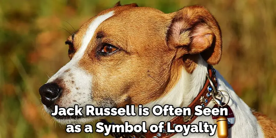 Jack Russell is Often Seen as a Symbol of Loyalty