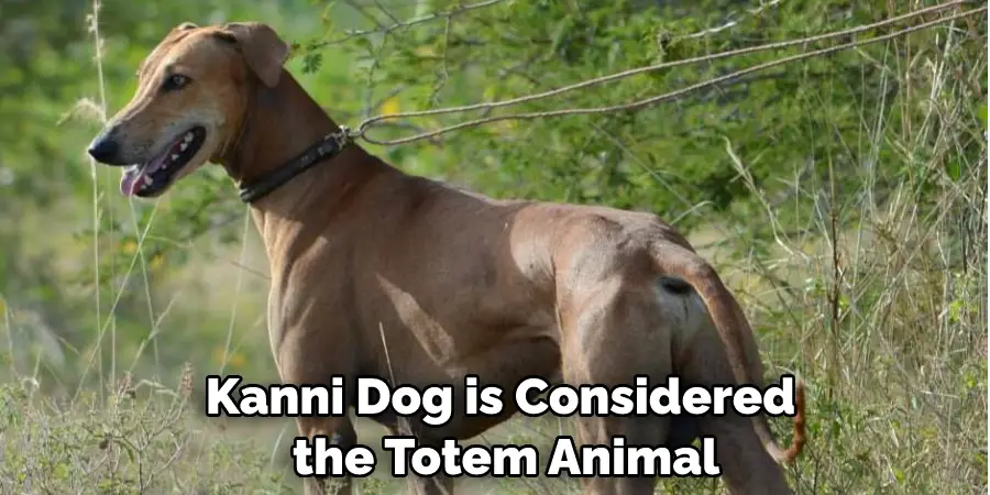 Kanni Dog is Considered the Totem Animal
