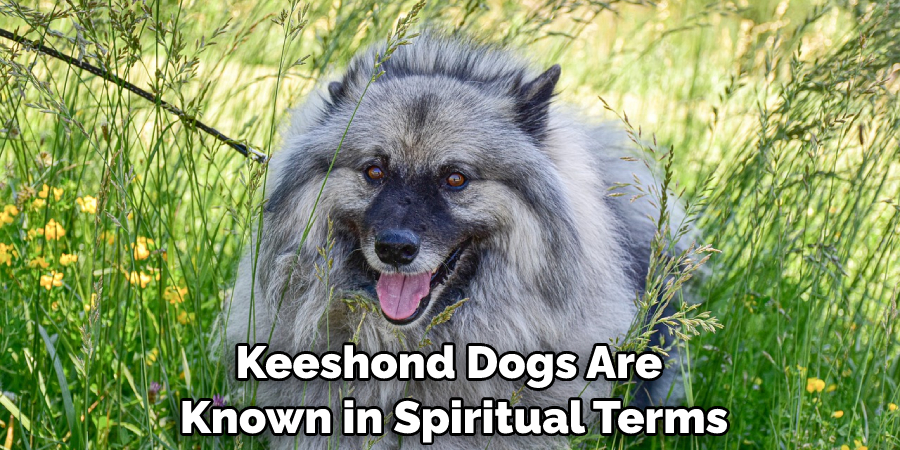 Keeshond Dogs Are Known in Spiritual Terms
