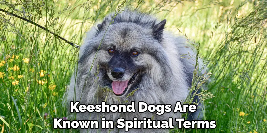 Keeshond Dogs Are Known in Spiritual Terms