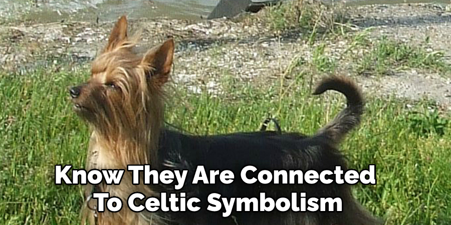 Know They Are Connected To Celtic Symbolism