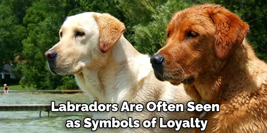 Labradors Are Often Seen as Symbols of Loyalty