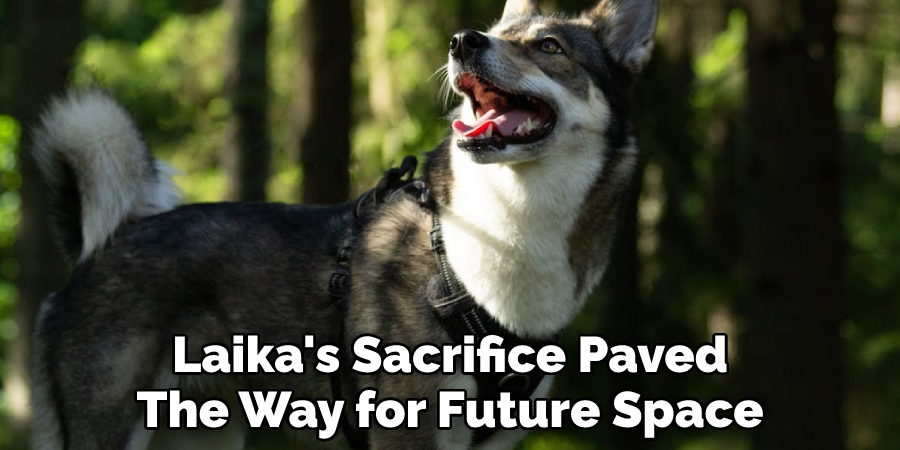 Laika's sacrifice paved the way for future space