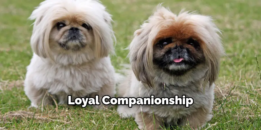 Loyal Companionship