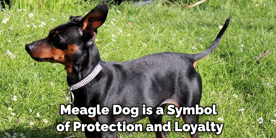 Meagle Dog is a Symbol of Protection and Loyalty