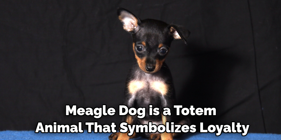 Meagle Dog is a Totem Animal That Symbolizes Loyalty