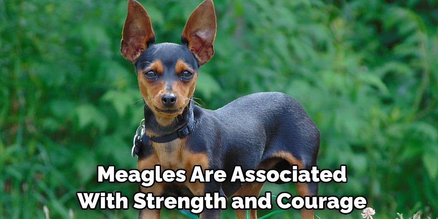  Meagles Are Associated With Strength and Courage
