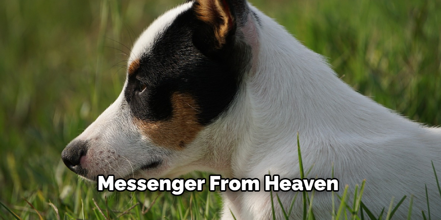 Messenger From Heaven