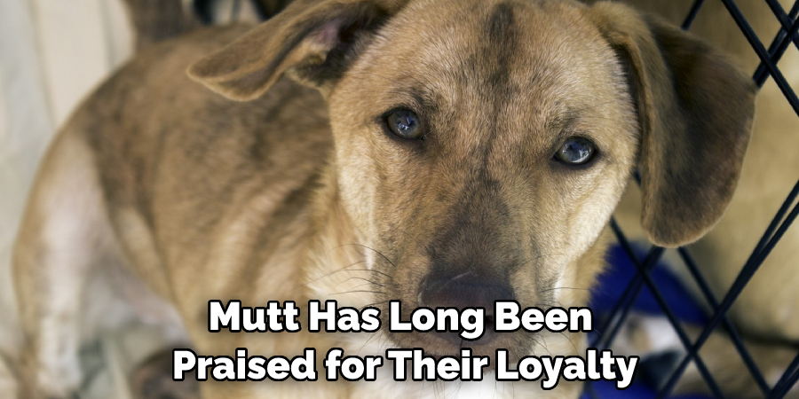 Mutt Has Long Been Praised for Their Loyalty