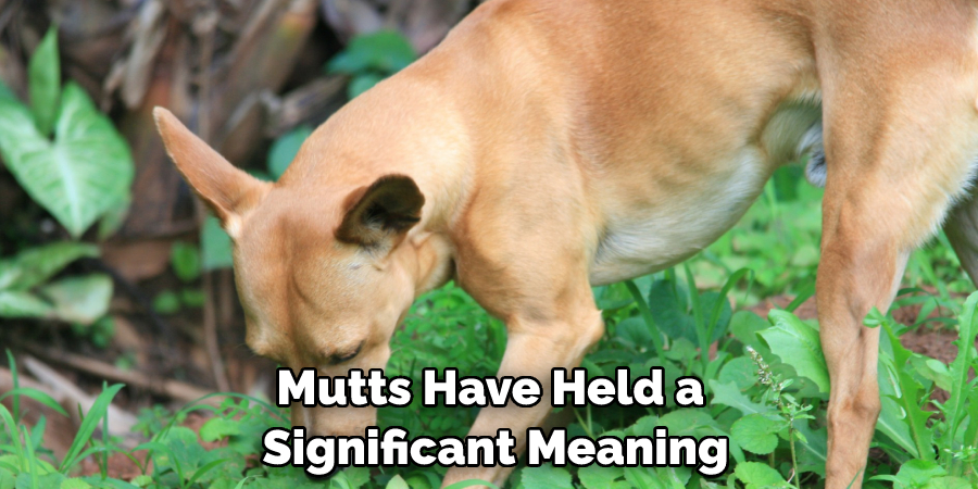 Mutts Have Held a Significant Meaning