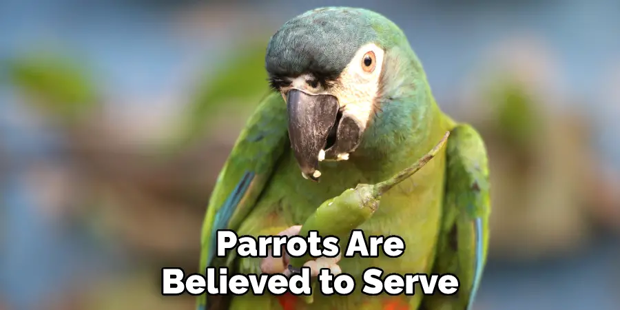 Parrots Are Believed to Serve