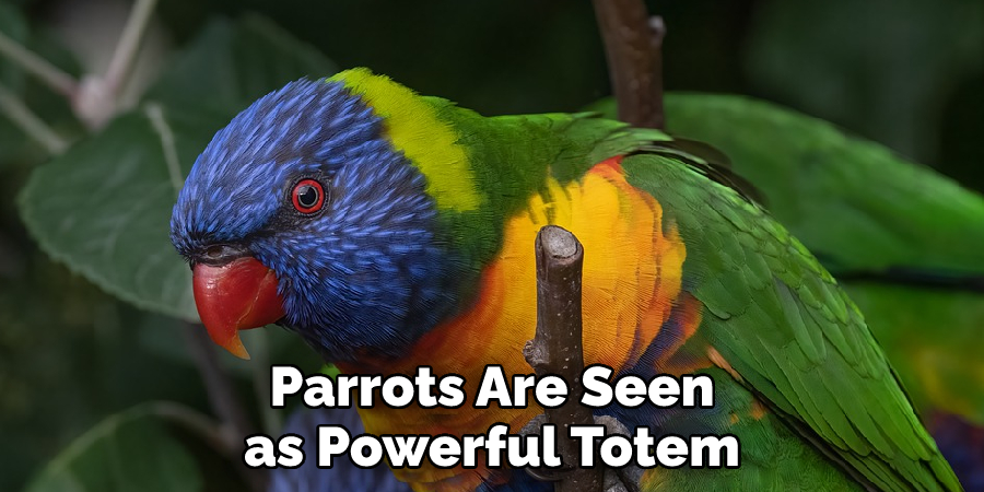 Parrots Are Seen as Powerful Totem