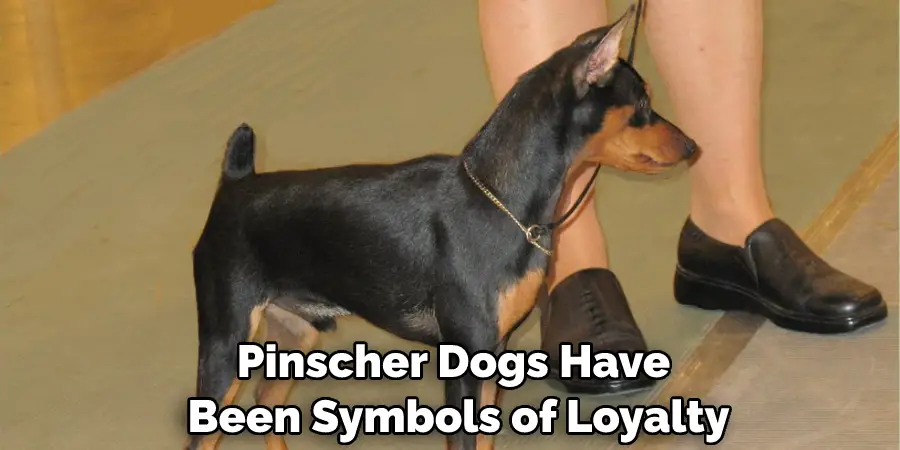 Pinscher Dogs Have Been Symbols of Loyalty