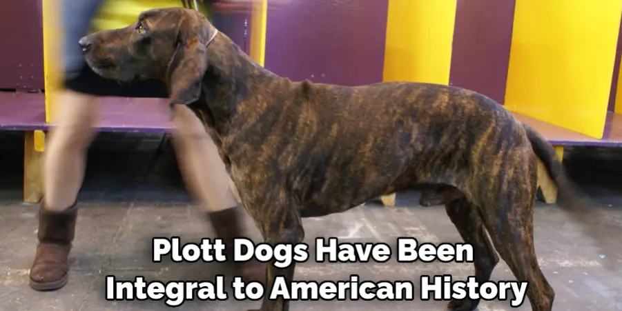 Plott Dogs Have Been Integral to American History