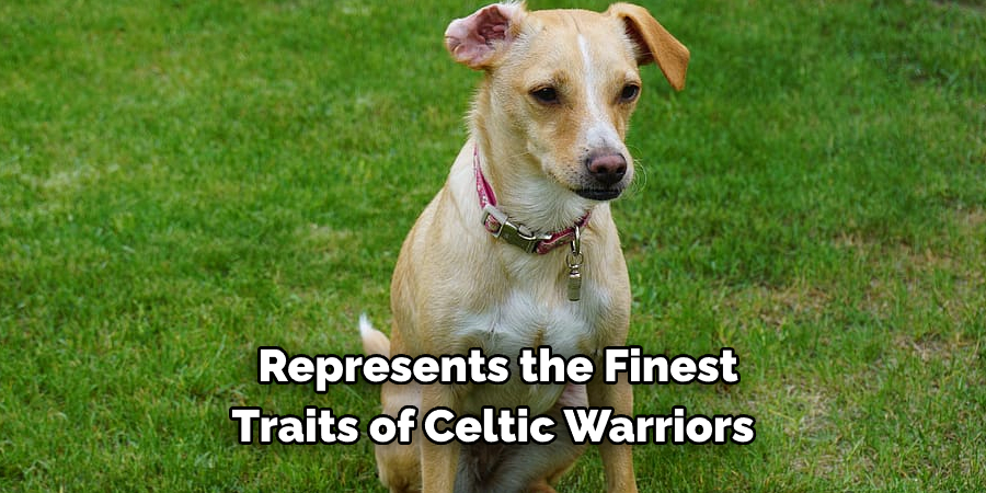  Represents the Finest Traits of Celtic Warriors